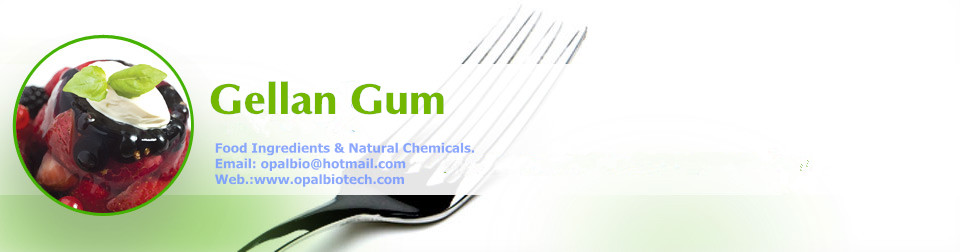 OPAL BIOTECH GELLAN GUM PRODUCTS INTRODUCTION HEAD.jpg