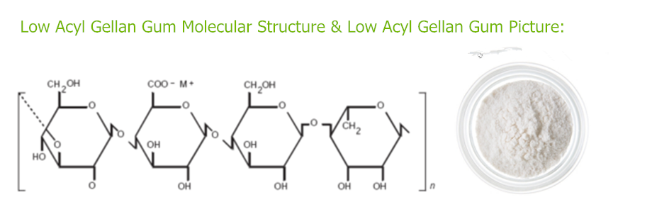 opal biotech structure of low acyl gellan gum_副本.jpg