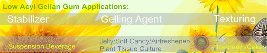 opal gellan gum applciation low acyl bottom.jpg