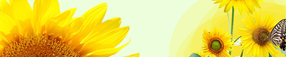 OPAL GELLAN GUM APPLCIATION BANNER.jpg